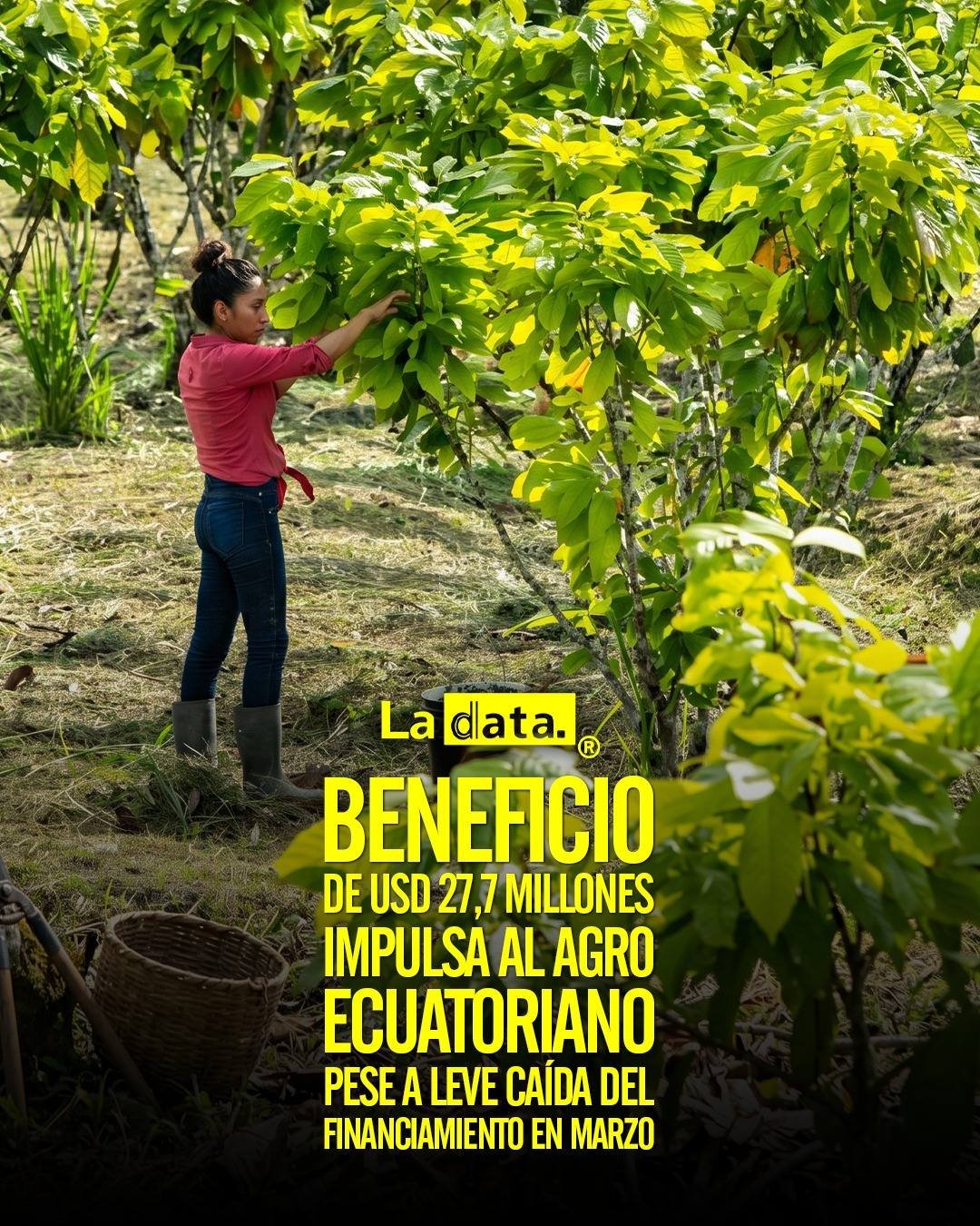 @ladataec👈   #ladata #TendenciaPolítica #Ecuador  #Beneficios