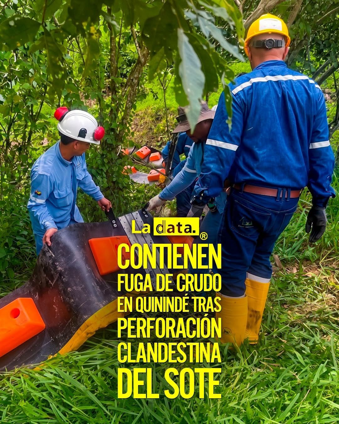 @ladataec👈 #LaData #TendenciaPolitica #SOTE #Esmeraldas